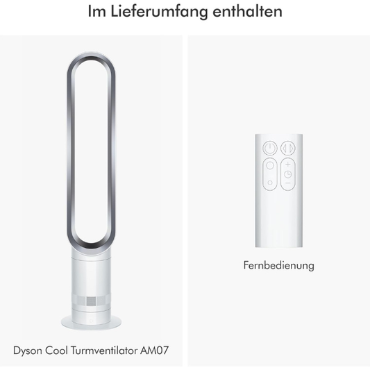 Dyson AM07 Turmventilator Weiß/Silber